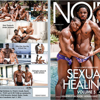 Sexual Healing 5 Noir Male - Sealed DVD Active