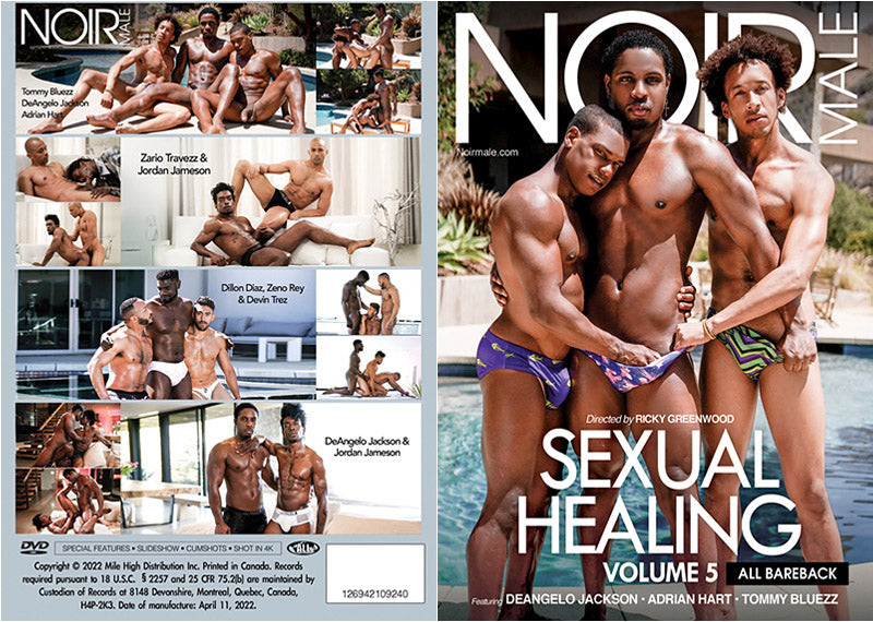 Sexual Healing 5 Noir Male - Sealed DVD Active