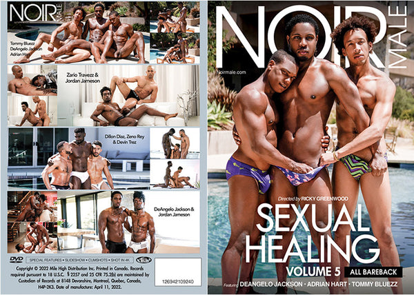 Sexual Healing 5 Noir Male Factory Sealed DVD April Special