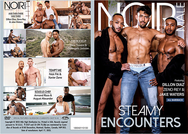 Steamy Encounters 1 Noir Male Factory Sealed DVD
