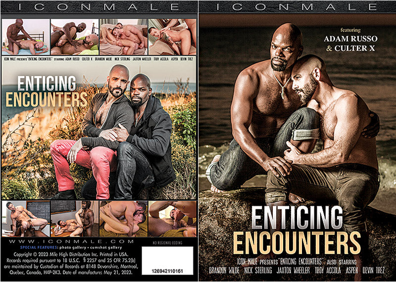 Enticing Encounters 1 Icon Male Factory Sealed DVD - Active