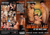 Young Bastards 29: Obedient Lads Young Bastards - Gay Factory Sealed DVD