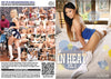 Cheerleaders In Heat 2 New Sensations - 2024 Sealed DVD - Active (Means Still in Stock from the Studio)