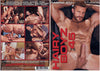 Hairy Boyz 45 Raging Stallion - Gay Factory Sealed DVD