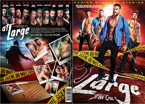 At Large Falcon Studios NR Mix Factory Sealed DVD - August Special