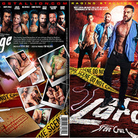 At Large Gay NR Mix Factory Sealed DVD - Active