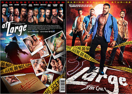 At Large Gay NR Mix Factory Sealed DVD - Active