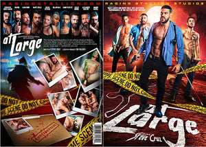 At Large Gay NR Mix Factory Sealed DVD - Active