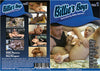 Billie's Boys Dragon Media - Gay Factory Sealed DVD