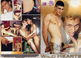 Wild Hearts Luis Blava - Gay Sealed DVD - Active (Means still in stock from the Studio)  - October Special