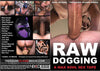 Raw Dogging Treasure Island - Gay Factory Sealed DVD - Active
