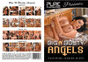 Big N Busty Angels Pure Pleasures - New Sealed DVD Direct from the Manufacturer