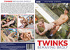 Twinks Behaving Badly Southern Strokes - Gay Factory Sealed DVD