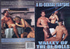 Valley Of The Bi-Dolls All Worlds - Gay - Sealed DVD Active