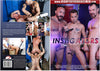 Instigators Pride - Gay Factory Sealed DVD - Active